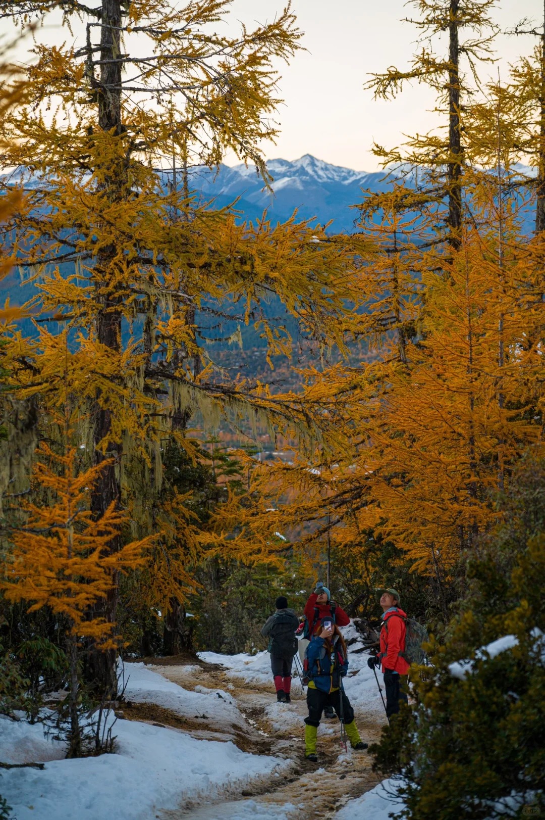 下雪后的阿布吉措直接封神_10_云南徒鹰📷_云南-香格里拉-来自52tours 我爱旅游网